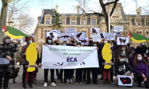 Un pas important contre la marchandisation des animaux à Paris